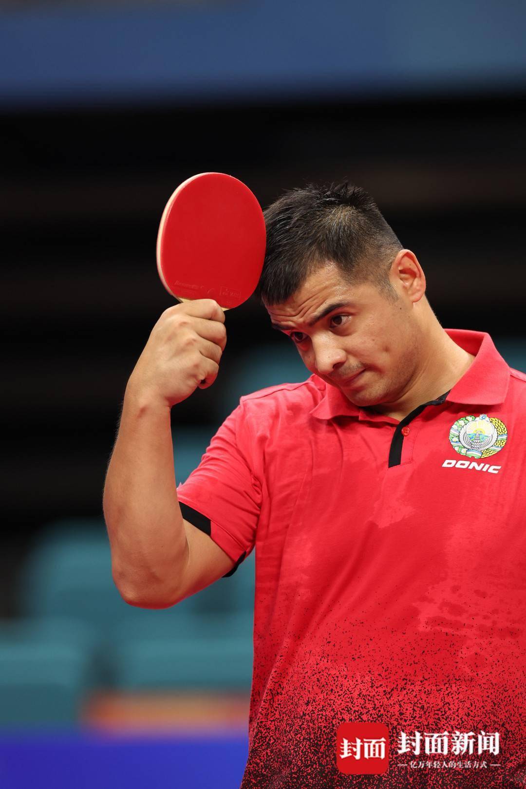 瑞士马术选手赛场失常,遗憾出局 瑞士马术选手赛场失常,遗憾出局