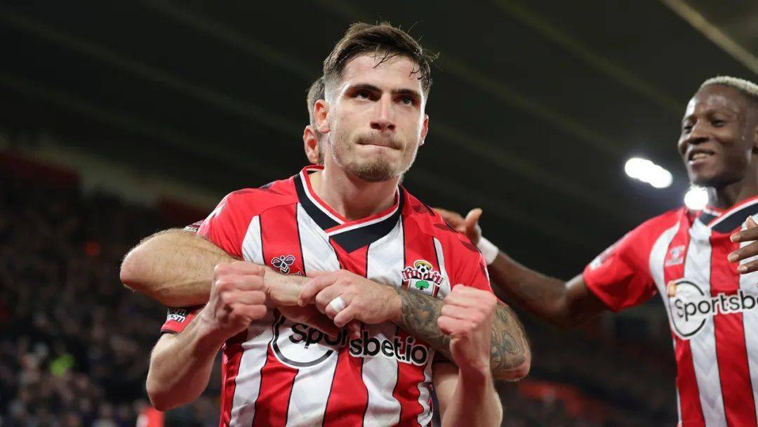 关于南安普顿保持不败,争夺欧战资格形势良好的信息 关于南安普顿保持不败,争夺欧战资格形势良好的信息