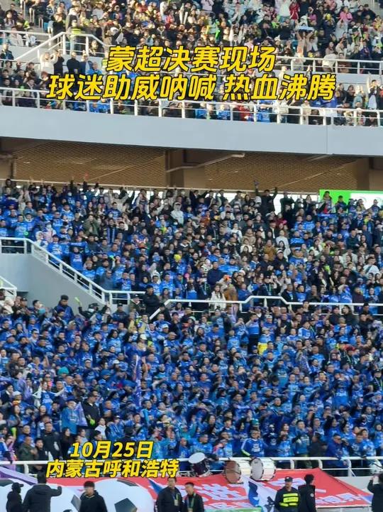 aoa体育-球迷狂热呐喊，球场热情高涨